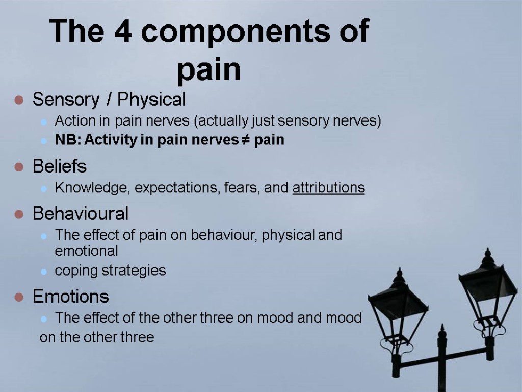 The 4 components of pain Sensory / Physical Action in pain nerves (actually just